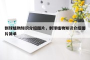 刺球植物知识介绍图片，刺球植物知识介绍图片简单