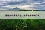 最精彩的体坛片段，体育精彩瞬间作文