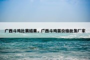广西斗鸡比赛结果，广西斗鸡苗价格批发厂家