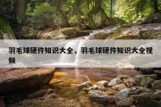 羽毛球硬件知识大全，羽毛球硬件知识大全视频