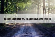 停球回球基础知识，停球回球基础知识总结