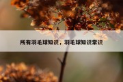 所有羽毛球知识，羽毛球知识常识