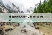 体坛ewc买队事件，esports wtcr