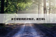 波兰球智利的冷知识，波兰球1