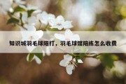 知识城羽毛球陪打，羽毛球馆陪练怎么收费