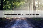 乒乓球有关专业的知识，乒乓球知识介绍