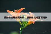 腰旗橄榄球规则知识，腰旗橄榄球比赛规则