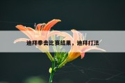 迪拜拳击比赛结果，迪拜打法