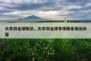 大学羽毛球知识，大学羽毛球专项期末测试内容
