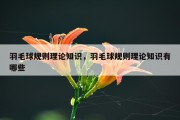 羽毛球规则理论知识，羽毛球规则理论知识有哪些