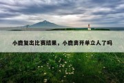 小鹿复出比赛结果，小鹿离开单立人了吗