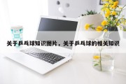 关于乒乓球知识图片，关于乒乓球的相关知识
