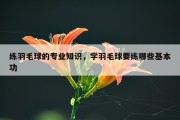 练羽毛球的专业知识，学羽毛球要练哪些基本功