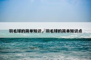 羽毛球的简单知识，羽毛球的简单知识点