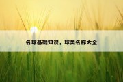 名球基础知识，球类名称大全