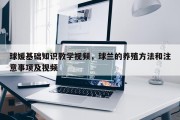 球媛基础知识教学视频，球兰的养殖方法和注意事项及视频