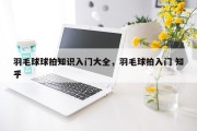 羽毛球球拍知识入门大全，羽毛球拍入门 知乎