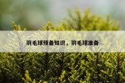 羽毛球预备知识，羽毛球准备