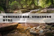 喀麦隆科特迪瓦比赛结果，科特迪瓦和喀麦隆哪个发达