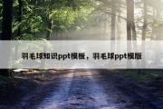 羽毛球知识ppt模板，羽毛球ppt模版