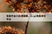 完美平台CS比赛结果，cs go完美竞技平台