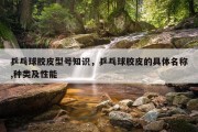 乒乓球胶皮型号知识，乒乓球胶皮的具体名称,种类及性能