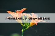 乒乓球概念知识，乒乓球的一些基本知识