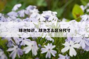 球泡知识，球泡怎么区分尺寸