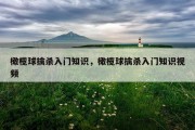 橄榄球擒杀入门知识，橄榄球擒杀入门知识视频