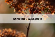 SAP知识球，sap基础知识