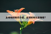 足球球的知识介绍，足球的知识有哪些?