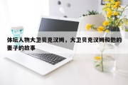 体坛人物大卫贝克汉姆，大卫贝克汉姆和他的妻子的故事