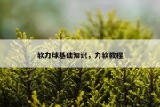 软力球基础知识，力软教程
