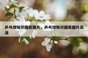 乒乓球知识图库图片，乒乓球知识图库图片高清