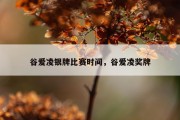 谷爱凌银牌比赛时间，谷爱凌奖牌