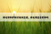 绿毛球养护知识培训总结，绿毛球适合家养吗