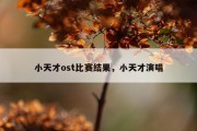 小天才ost比赛结果，小天才演唱