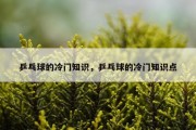 乒乓球的冷门知识，乒乓球的冷门知识点