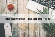 羽毛球磅数冷知识，羽毛球磅数有什么用