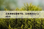 三角洲体坛是哪个队，三角洲shore patrol