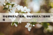 羽毛球知识入门视频，羽毛球知识入门视频教程