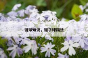 键球知识，键子球踢法