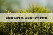 羽毛球高端知识，羽毛球技巧专业术语