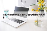 羽毛球训练知识普及图片，羽毛球基础训练内容