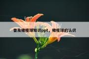 普及橄榄球知识ppt，橄榄球的认识