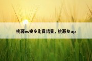 桃源vs安乡比赛结果，桃源乡op