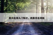 黑羽毛球入门知识，纯黑羽毛球拍