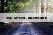 博博台球比赛结果，台球陈博师傅是谁