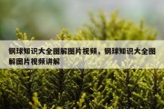 钢球知识大全图解图片视频，钢球知识大全图解图片视频讲解