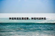 神龙和龙比赛结果，神龙对战神龙